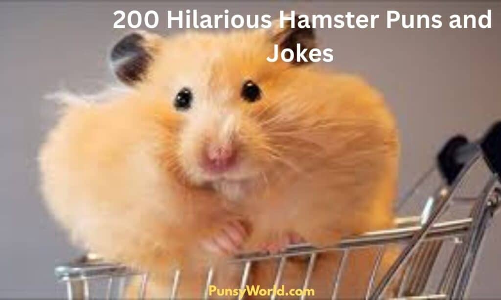 Hamster Puns