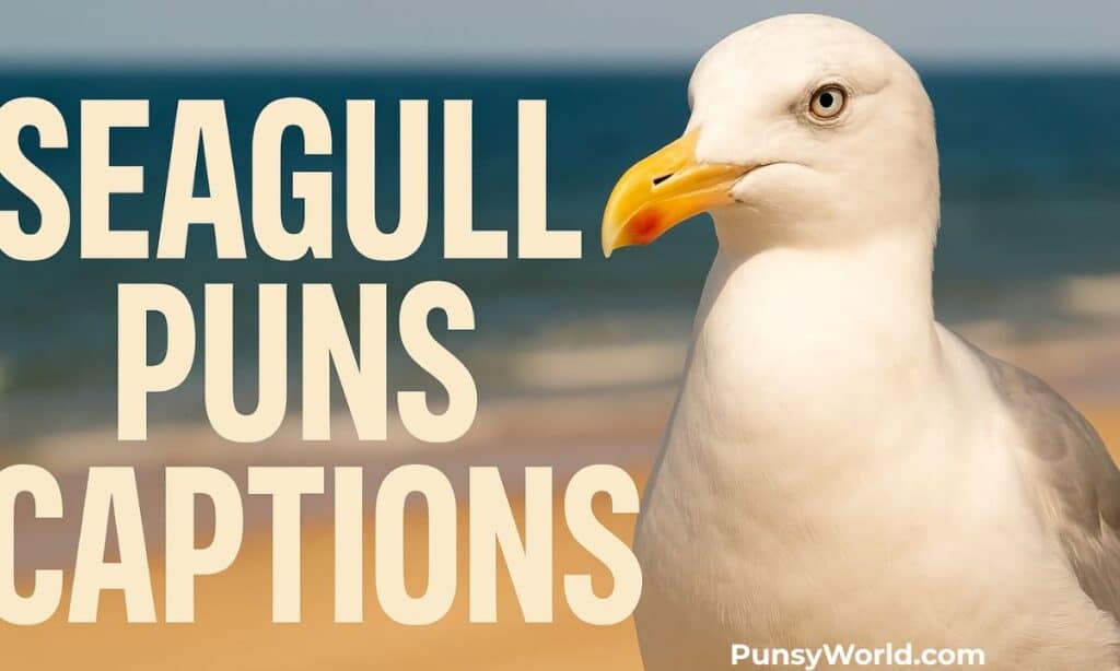 Seagull Puns Captions