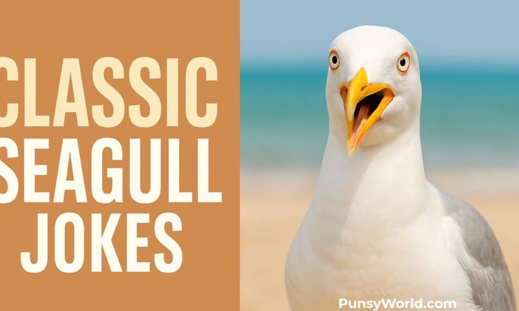 seagull puns