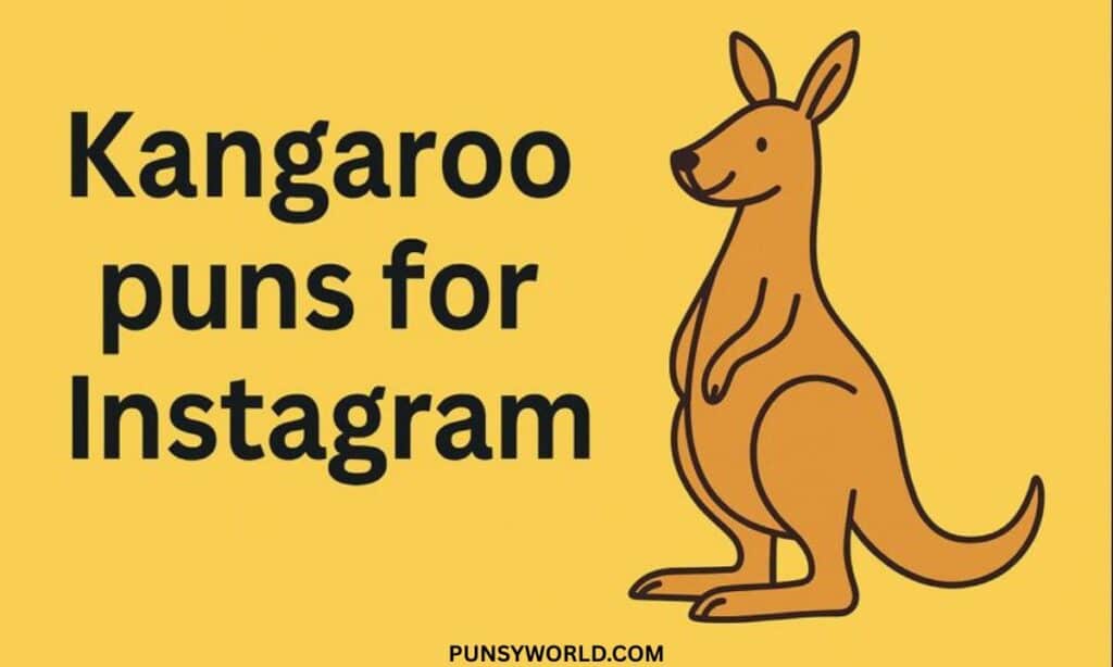 Kangaroo Puns