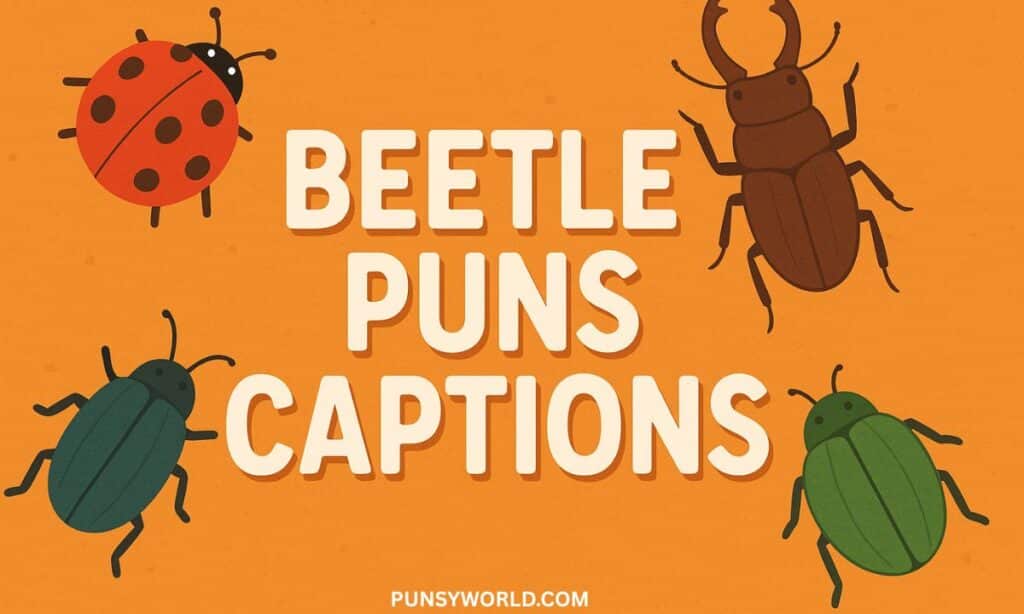 beetle puns captions