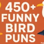 bird puns