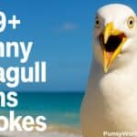 Seagull Puns
