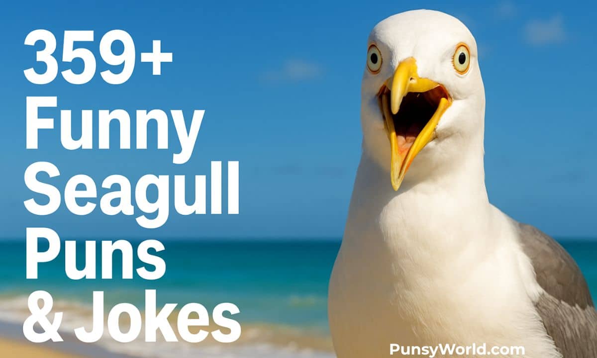 Seagull Puns