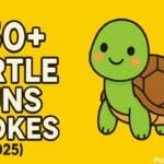 turtle puns