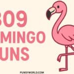 Flamingo Puns
